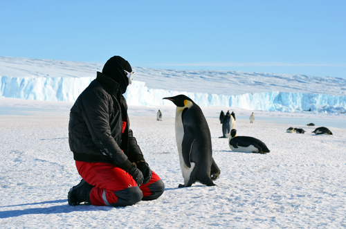 Penguin Editorial credit Shutterstock.com