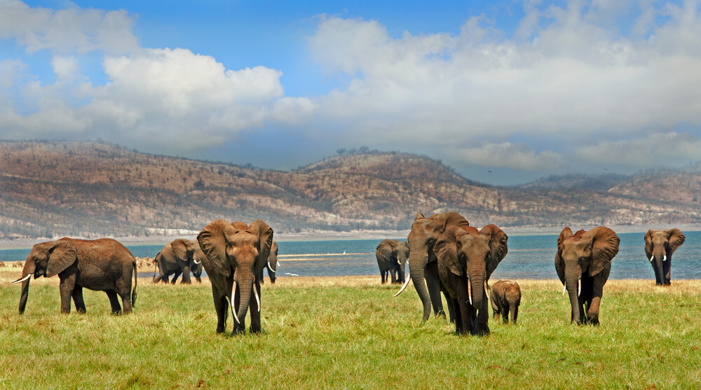 croisieuropesouthafrica