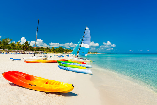 kayaks