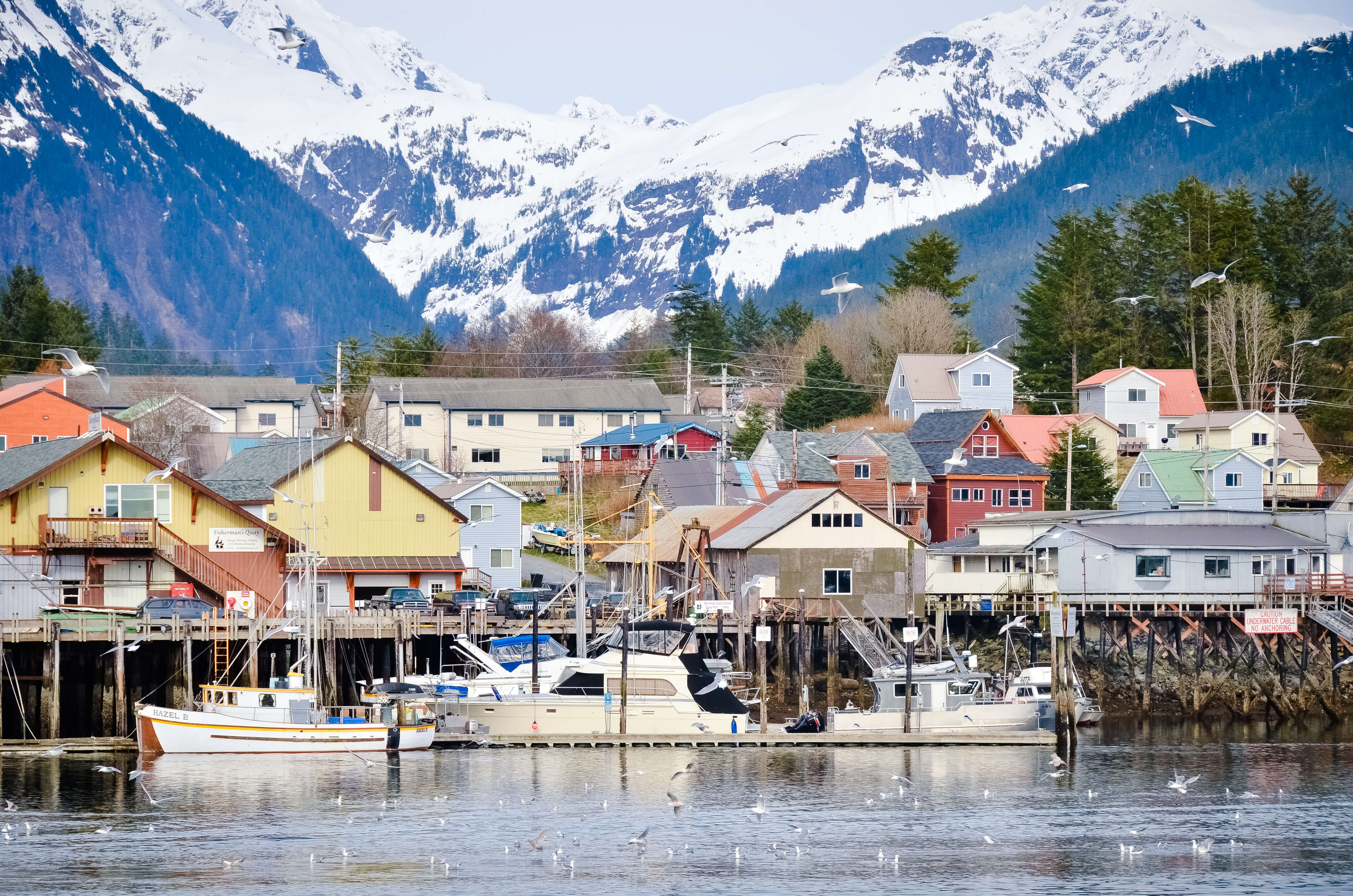 sitka