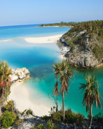 Caribbean 